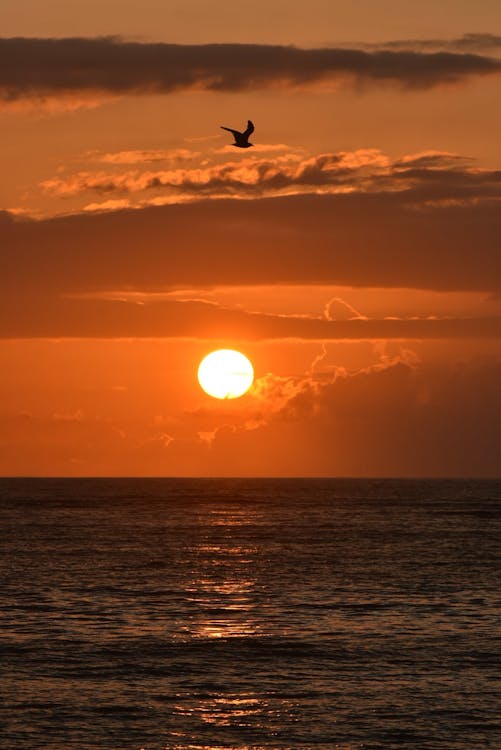 Atardecer en la costa keniana