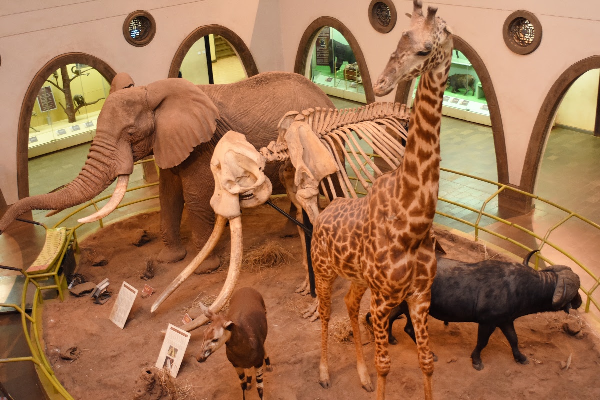 Museo Nacional de Nairobi