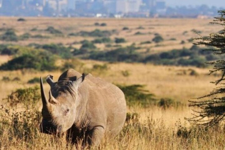 Parque Nacional de Nairobi