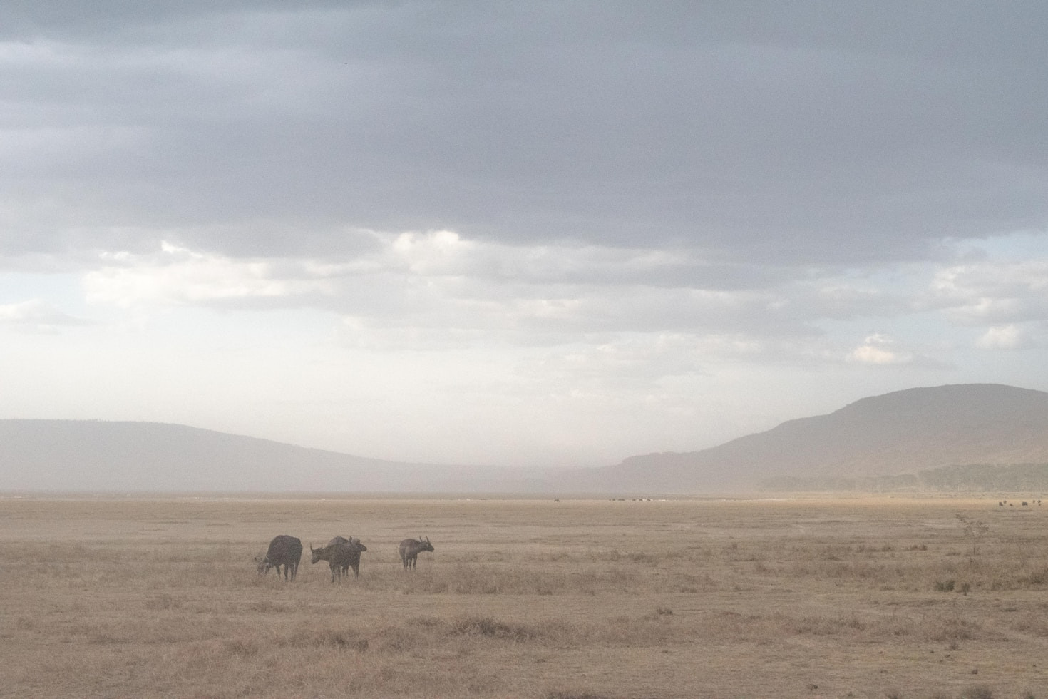 Ruta gastronómica: sabores auténticos de Kenia